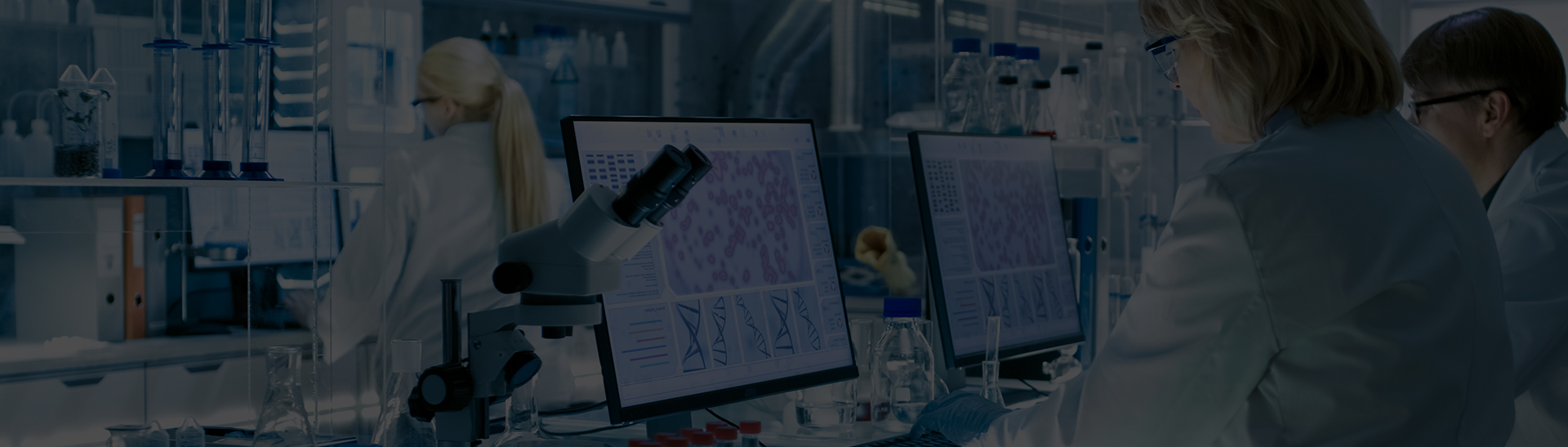 Slide Desktop 4 of 4