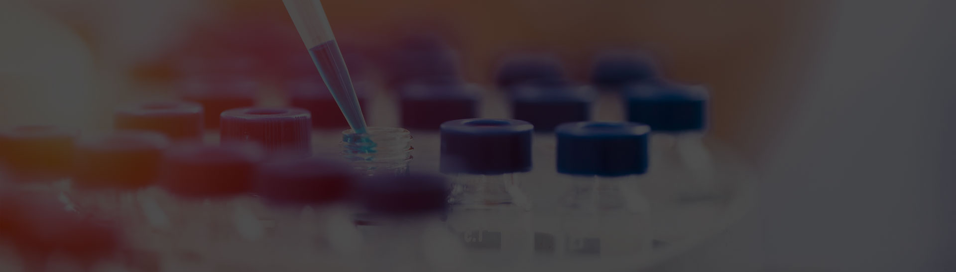 Slide Desktop 2 of 4